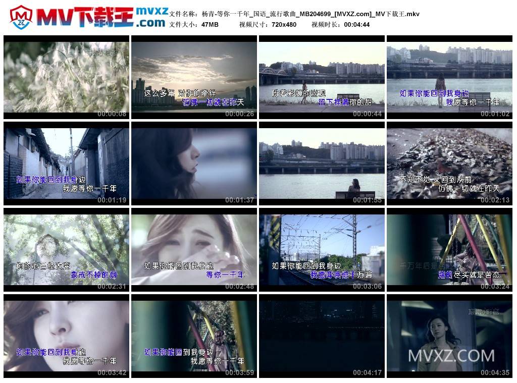 杨青-等你一千年_国语_流行歌曲_MB204699